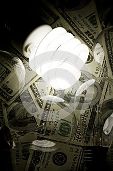 Light bulb and dollar