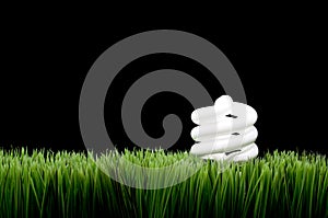 Compact fluorescent light bulb on grass