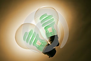 Compact Fluorescent Light Bulbs