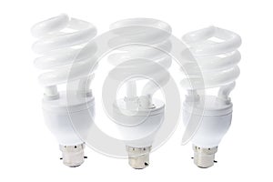 Compact Fluorescent Light Bulbs