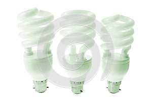 Compact Fluorescent Light Bulbs