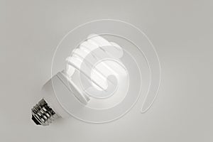 Compact Fluorescent Lightbulb