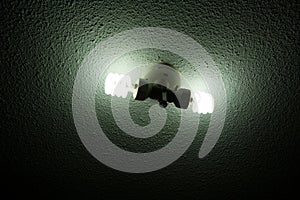 Compact Fluorescent Lightbulb