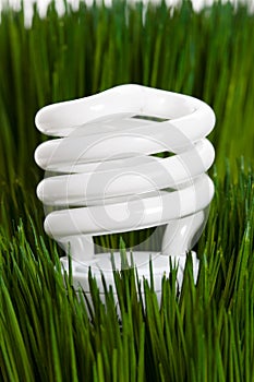 Compact Fluorescent Lightbulb