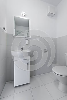 Compact interior bathroom design
