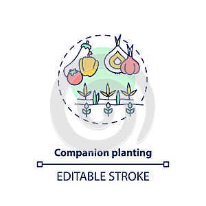 Companion planting concept icon