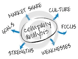 Company analysis chart