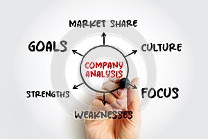 Company Analysis mind map concept for presentations and reports