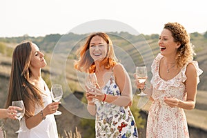 The company of gorgeous female friends having fun, drink wine, and enjoy hills landscape picnic