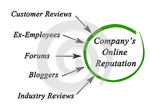 Company Online Reputation