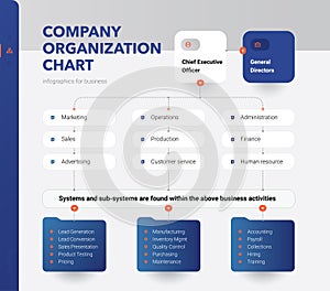 Company Organization Chart. Structure of the company.