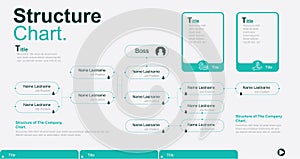 Company Organization Chart. Structure of the company. Business hierarchy organogram chart infographics. Corporate organizational s