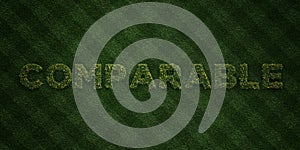 COMPARABLE - fresh Grass letters with flowers and dandelions - 3D rendered royalty free stock image