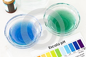 Comparative pH Test of Filtered Water and Tap Water Using Indicator Drops photo