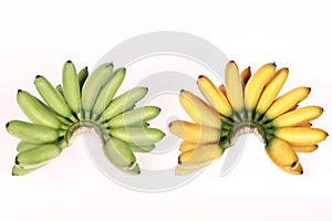 Compare with green egg-banana ,yellow egg-banana on white background.