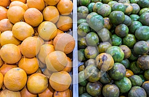 Compare two type of orange in super market