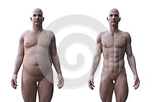 A comparision of a fit and obese male