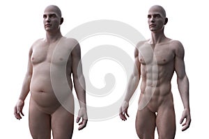 A comparision of a fit and obese male