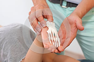 Comparison of child's foot with an anatomic model photo