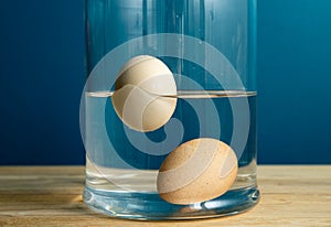 Comparison with fresh edible and old rotten egg. Fresh edible chicken egg is sunken bottom of the jar and old egg is floating.