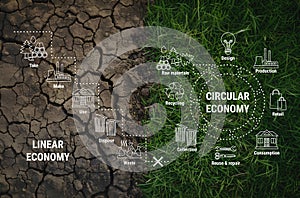 Comparison of linear and circular economy infographic on dry soil and green grass. Scheme of product life cycle from raw material