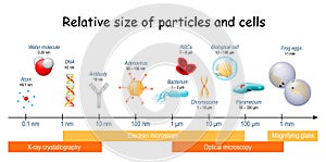 Comparison size of particles and cells on biological scale photo