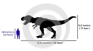 Comparison size between tyrannosaurus rex and human