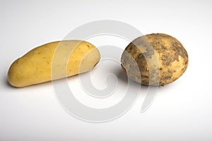 Comparison of washed and unwashed potatoes. Clean and dirty concept