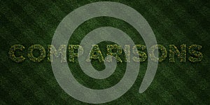 COMPARISONS - fresh Grass letters with flowers and dandelions - 3D rendered royalty free stock image