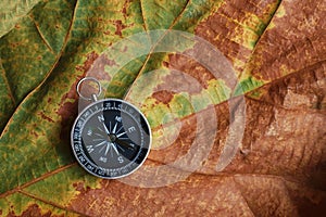 Compass on dry leaf texture background, journey planning concept, blank space, top view