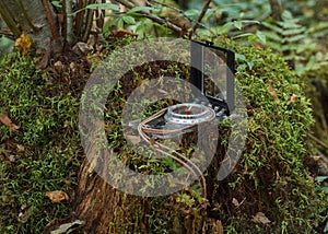 Compass In Forest