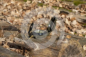 Compass in the forest on a stump in the sunlight