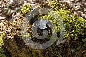 Compass in the forest on a stump in the sunlight