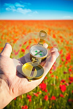 Compass in a Hand / Discovery / Beautiful Day photo