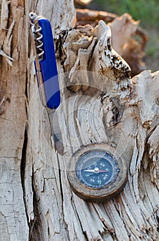 Compass and a knife for survival on an old dried tree.