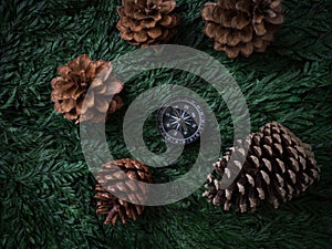 Compass and pine cones on green leaf background travel journey b