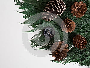 Compass and pine cones on green leaf background travel journey b