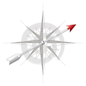 Compass rose with metal arrow