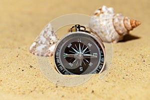 Compass and seashells on the sand at the beach