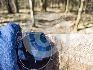 Compass on a smartwatch used for orienteering activity