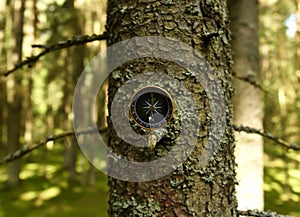 Compass on tree in the forest. Tourist compass for orientation on the terrain. Magnetic declination Ñalculator. Map reading and