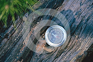 Compass on a tree trunk in the forest. Vintage style.