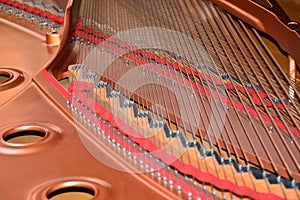 Compenents inside a grand piano photo