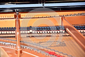 Compenents inside a grand piano photo