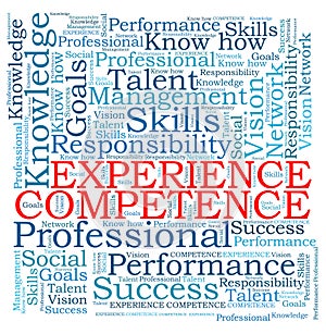 Competence experience word cloud