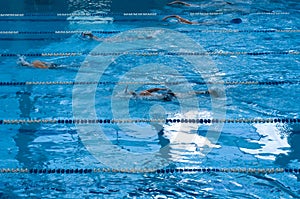 Competition swimming pool crowded of swimmers training.