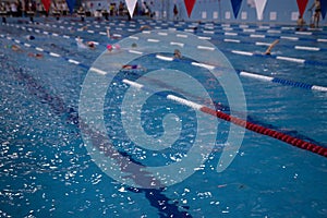 Competition swimming pool crowded of swimmers training