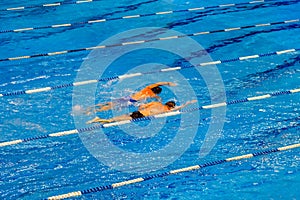 Competition in a swimming pool of sport club.