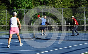 Competitive Game of Pickle Ball