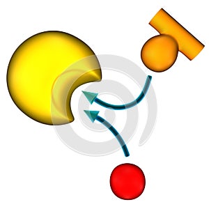 Competitive inhibition photo